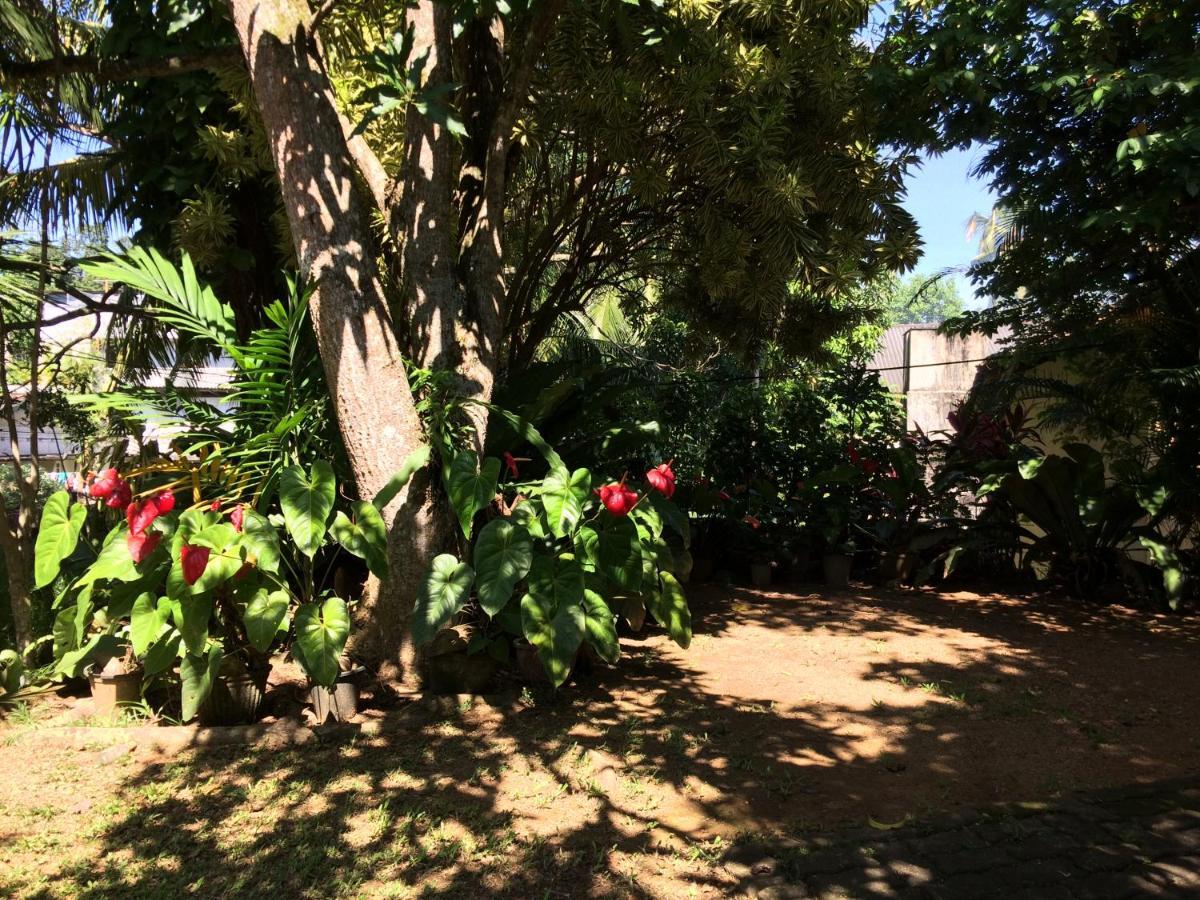 Galle Rest Home Екстериор снимка